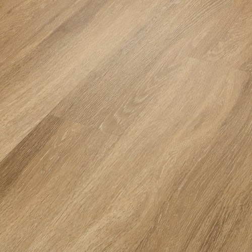 World's Fair 6mil in Paris